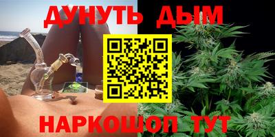 альфа пвп Новокубанск