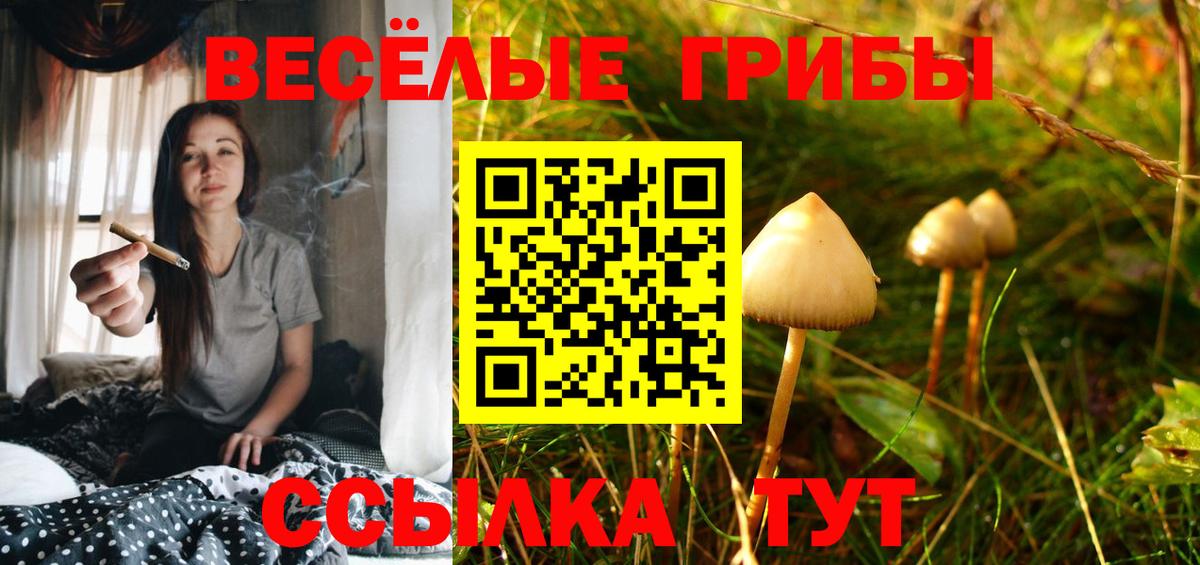 Галлюциногенные грибы Cubensis Трёхгорный
